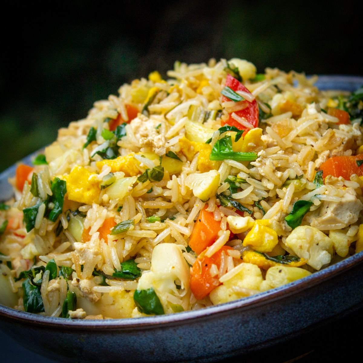 VEGETABLE   FRIED  RICE
